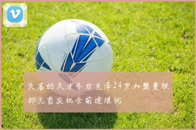 失落的天才齐尔克泽24岁加盟曼联却无首发机会前途堪忧