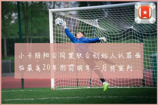 小卡阴阳合同案联合创始人认罪面临最高20年刑罚明年二月将宣判