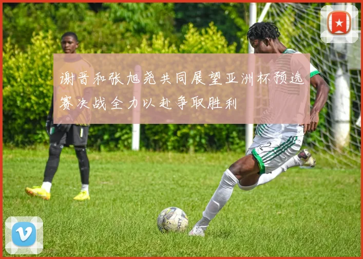 谢晋和张旭尧共同展望亚洲杯预选赛决战全力以赴争取胜利