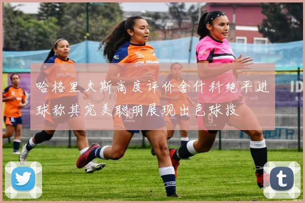 哈格里夫斯高度评价舍什科绝平进球称其完美聪明展现出色球技